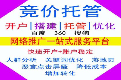 某电商平台的SEM优化案例分享